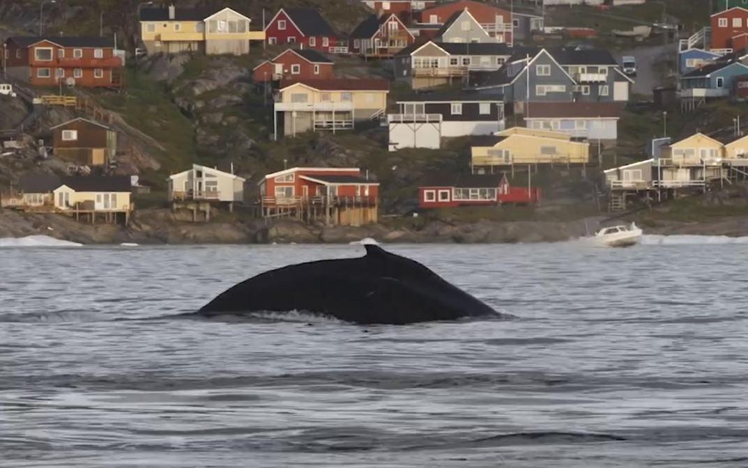 Ilulissat Stay - Jomsborg อิลูลิสชัท ภายนอก รูปภาพ